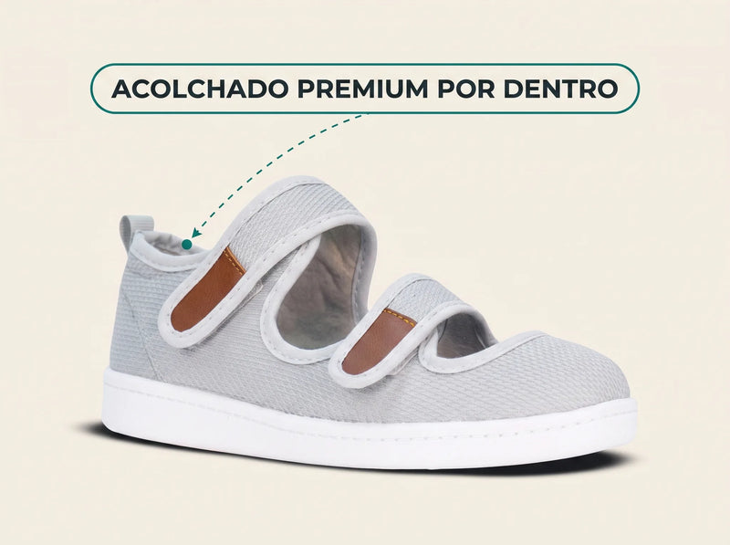 Trae plantilla premium incluida